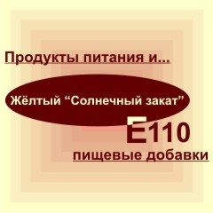 Е110