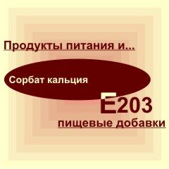 Е203