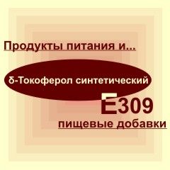 Е309