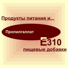 Е310