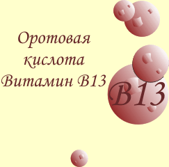������� �13 (�������� �������)